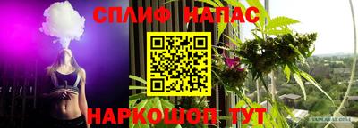 гидра Пенза