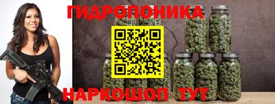 гидра Пенза