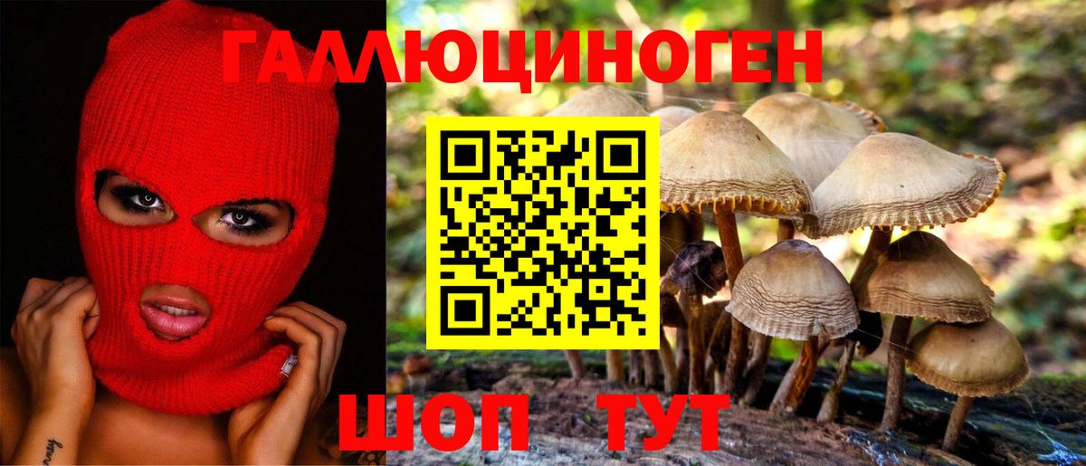 Галлюциногенные грибы Magic Shrooms  Вход с VPN  Оренбург  дарнет шоп  Галлюциногенные грибы Cubensis 